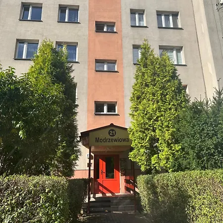 Modrzewiowa * Katowice
