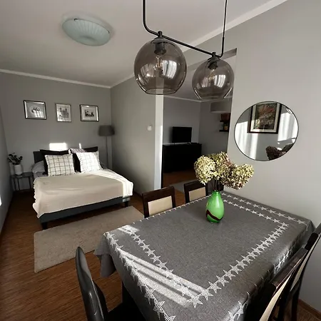 דירה Modrzewiowa Z Wifi, Self Check In, Spodek, Parking *