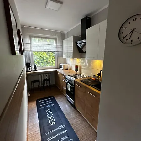 Modrzewiowa Katowice