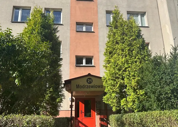 Modrzewiowa Z Wifi, Self Check In, Spodek, Parking * Katowice