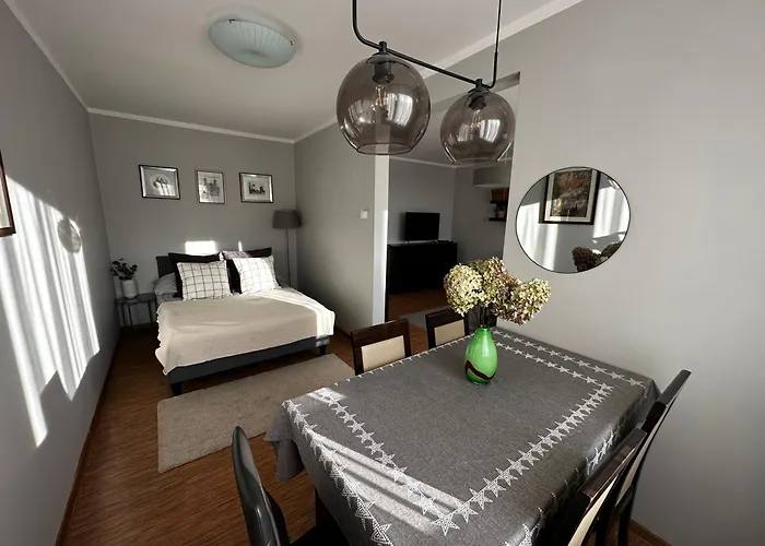 Apartamento Modrzewiowa Z Wifi, Self Check In, Spodek, Parking *