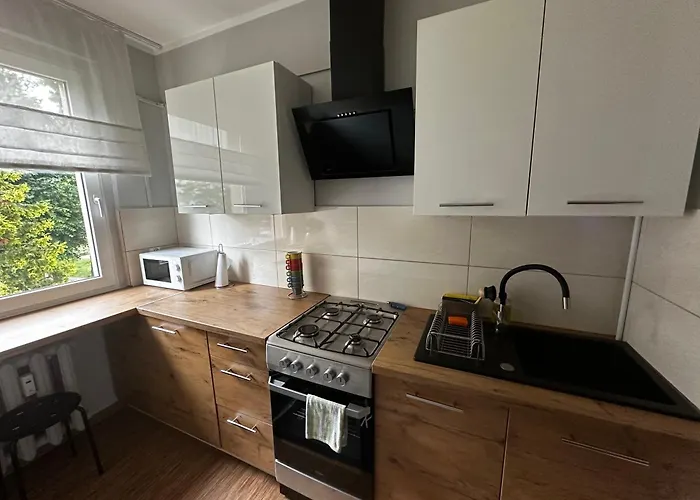 Apartamento Modrzewiowa Z Wifi, Self Check In, Spodek, Parking *