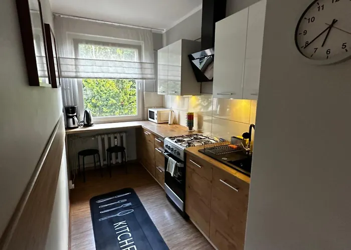 Modrzewiowa Z Wifi, Self Check In, Spodek, Parking Katowice