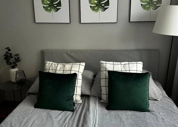 Modrzewiowa Z Wifi, Self Check In, Spodek, Parking