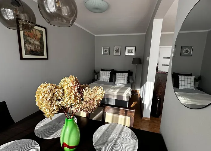 Modrzewiowa Z Wifi, Self Check In, Spodek, Parking Apartamento *